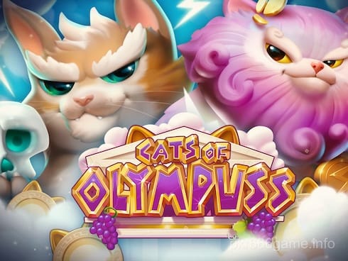 Cats Of Olympuss